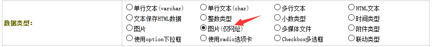 织梦自定义图片(仅网址)字段外链图片本地化2个BUG修复(图1)