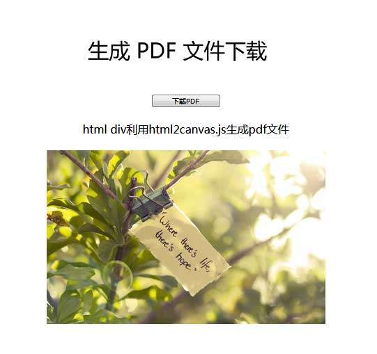 网页文本pdf生成下载代码(图1)