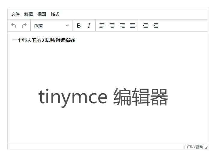 tinymce中文版网页文本编辑器(图1)