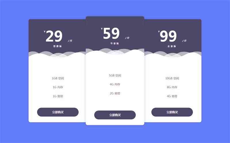 精美的套餐价格表css3布局(图1)